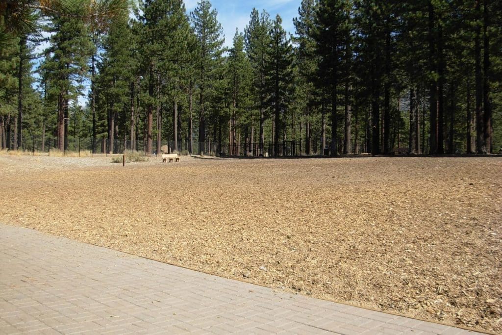 Dog Park in South Lake Tahoe