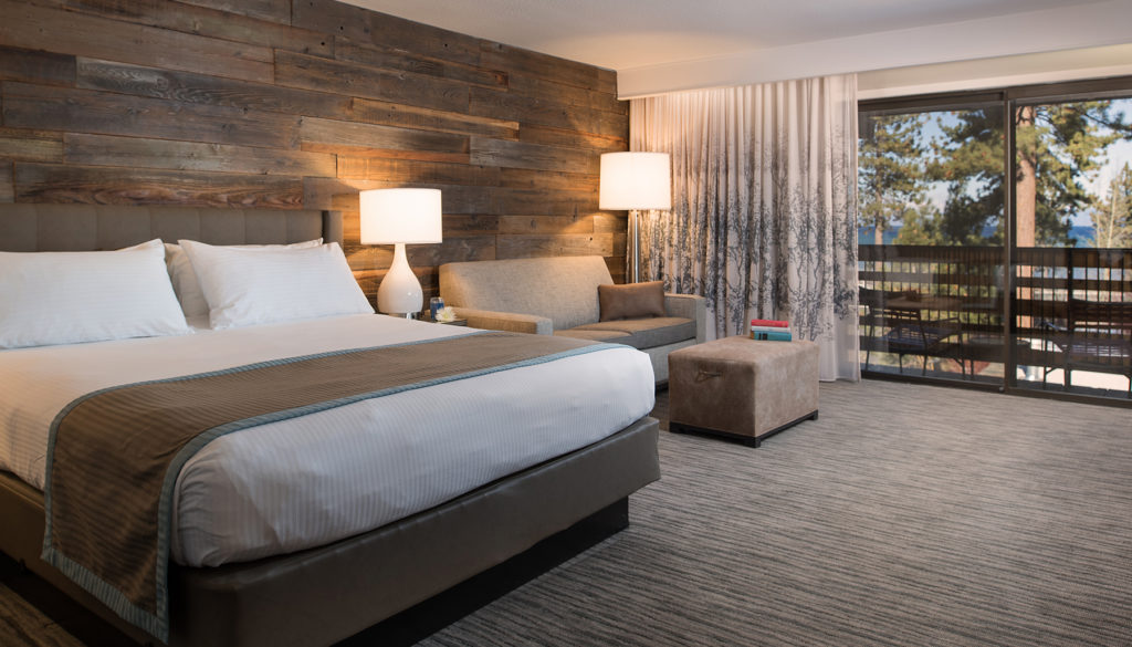 Hotel Azure pet-friendly hotel room