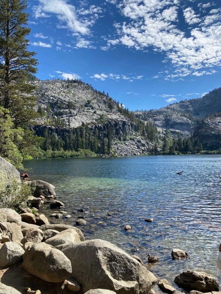 Lake shore in the Sierra Nevadas