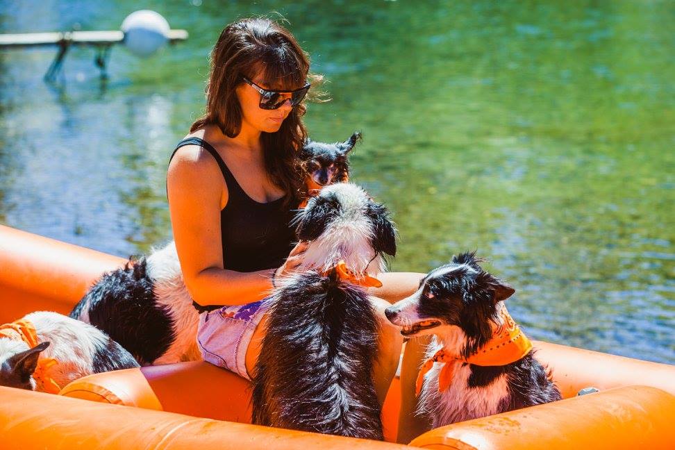 Dogs on a raft floating the river in Tahoe