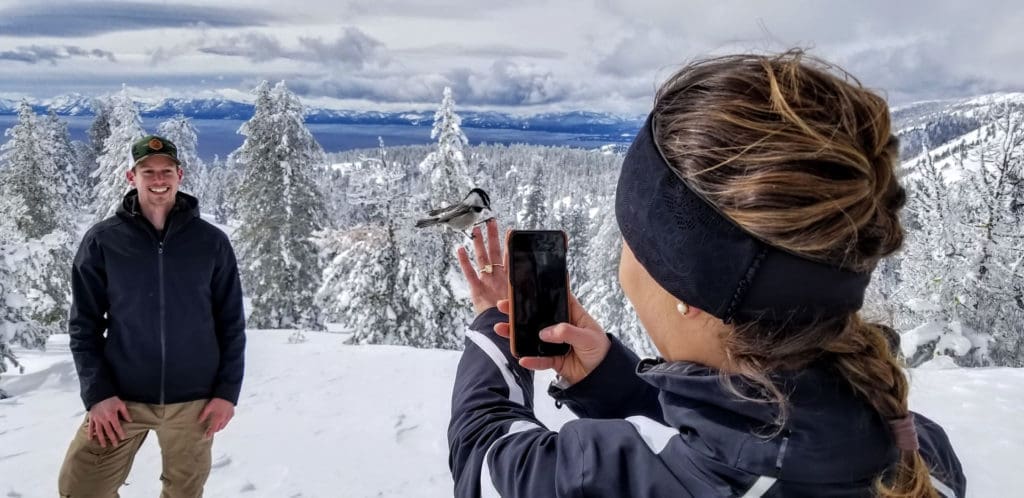 Tahoe Snowshoe Tours snowshoe hike with chickadee