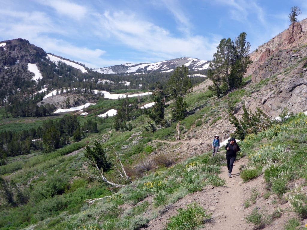 Mt. Rose SUmmit hiking trail