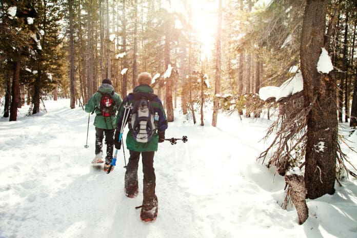 Two men snowshoeing in forest