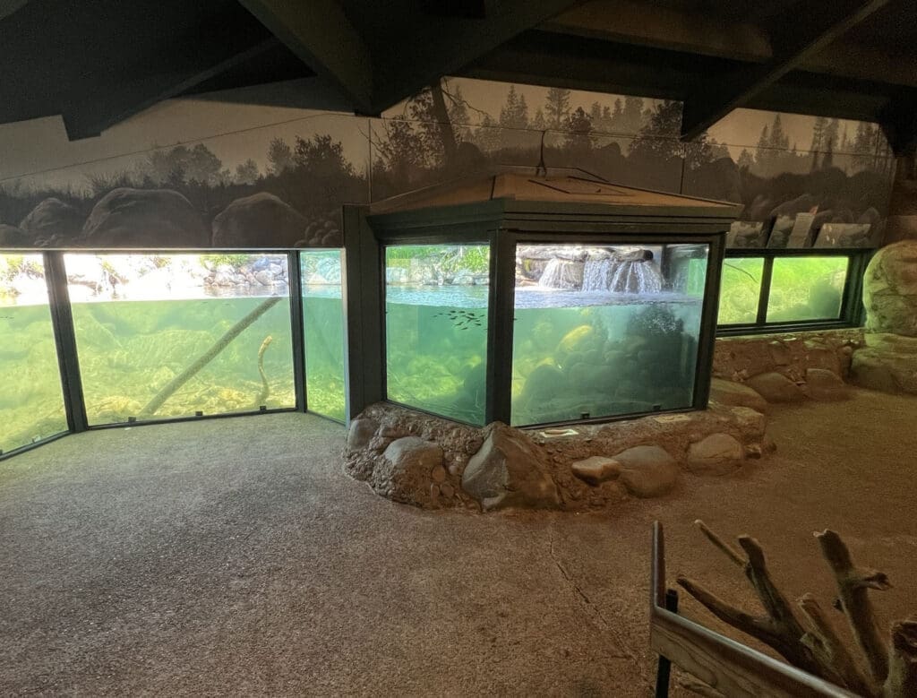 Stream Profile Chamber at Taylor Creek Visitor Center. Underwater viewing for the river