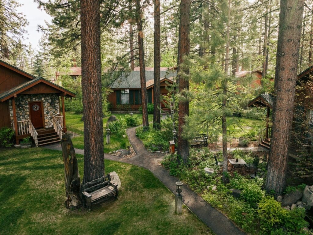 Black Bear Lodge Cabins and Outdoor Space