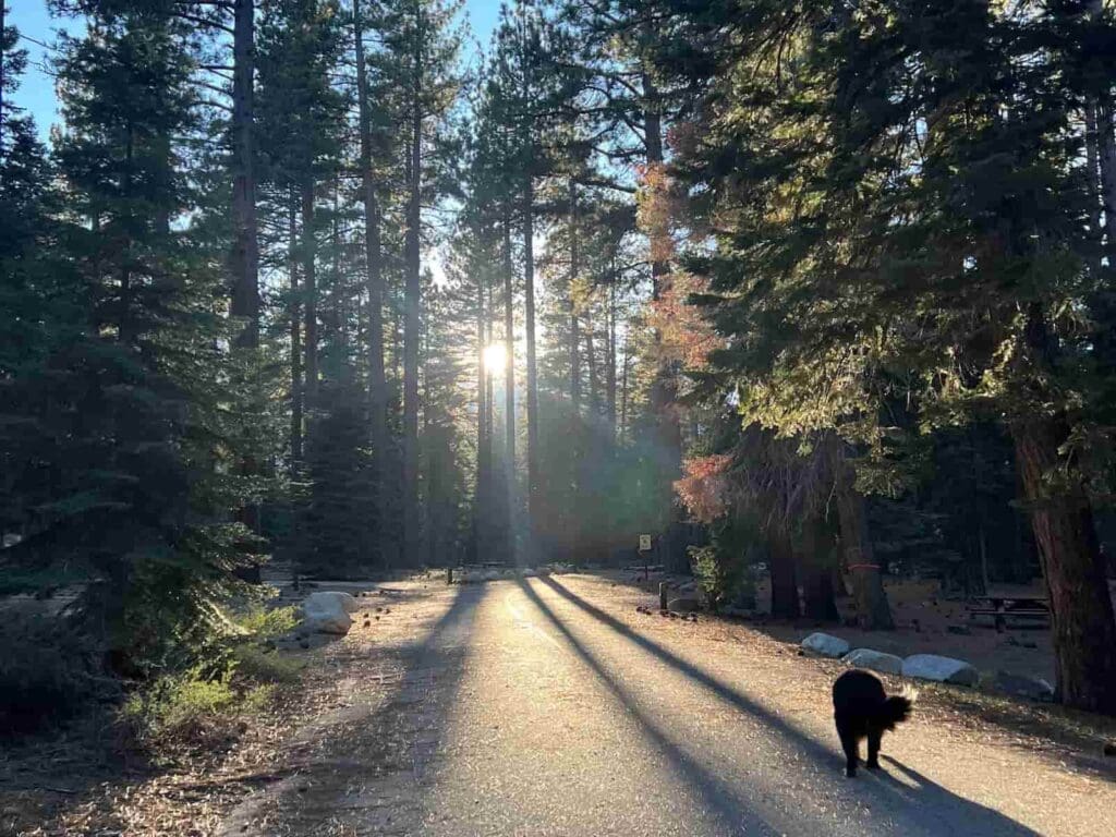 Fallen Leaf Lake Campground in South Lake Tahoe