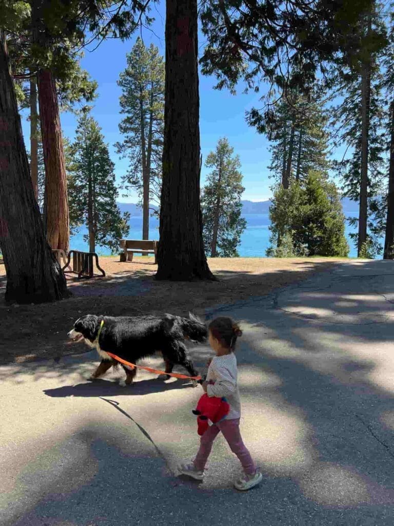 Little girl walking a dog at Sugar Pine Point State Park on the west shore of Lake Tahoe